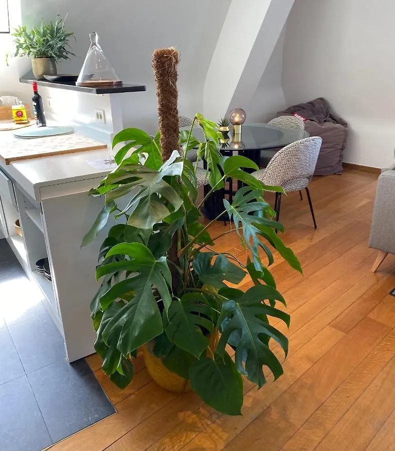 Definitief Gesloten Apartment Ostend 0*,